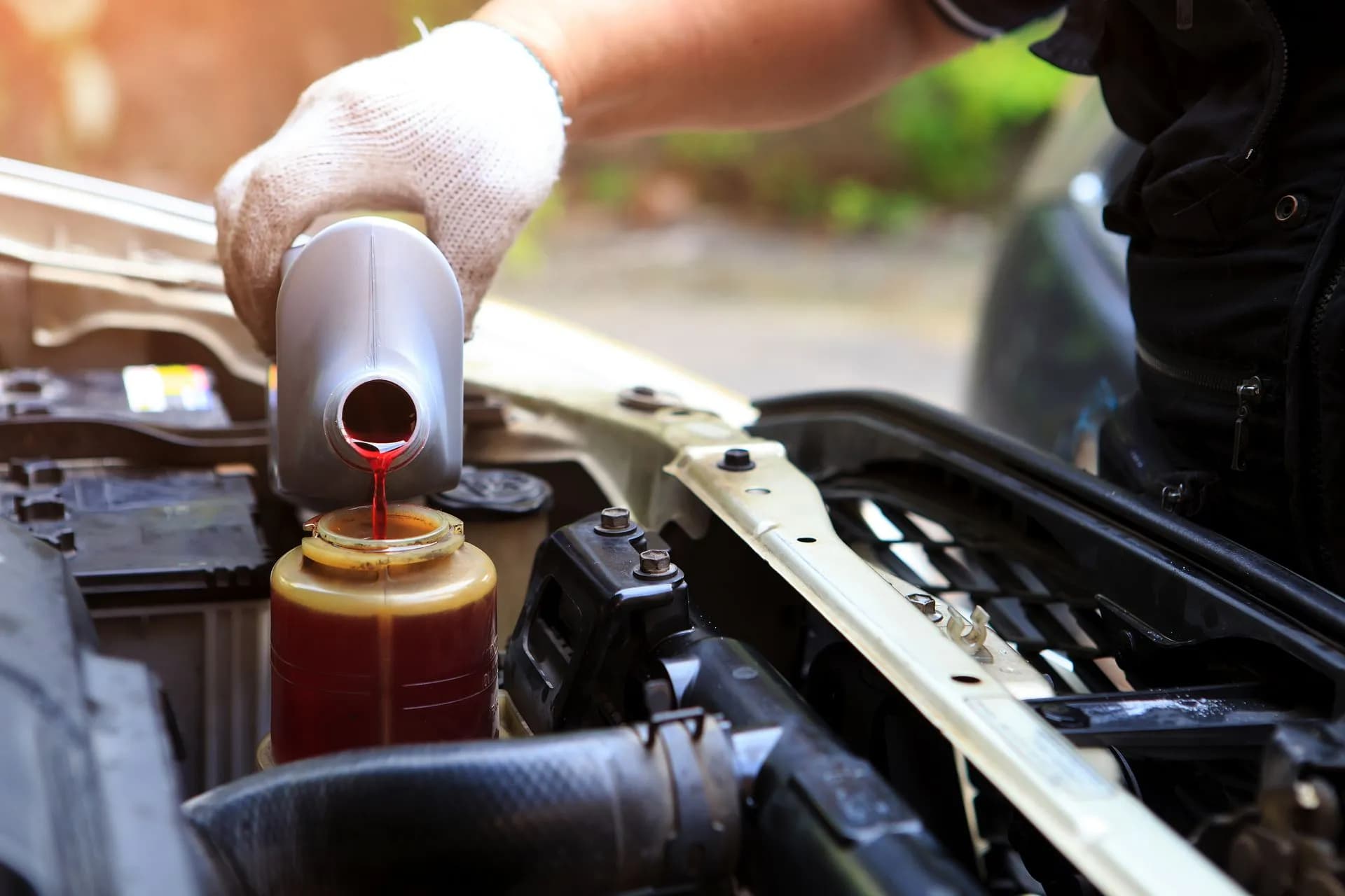 Service & Repairs Fluid Inspection