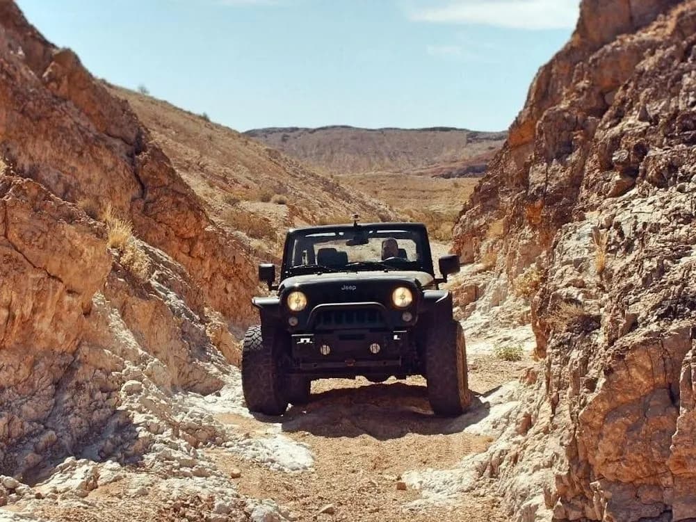Service & Repairs Shocks & Struts
